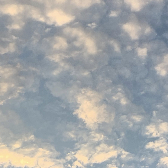 kumo desu